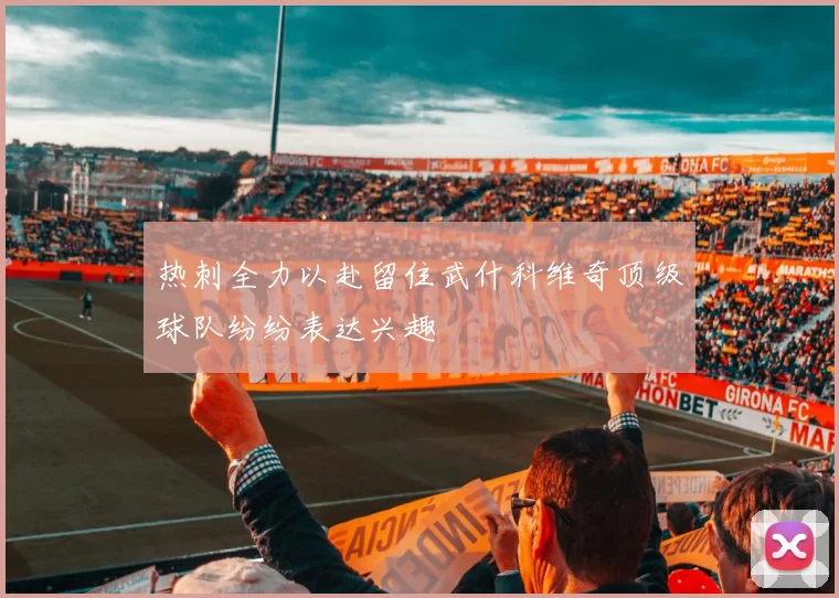 热刺全力以赴留住武什科维奇顶级球队纷纷表达兴趣