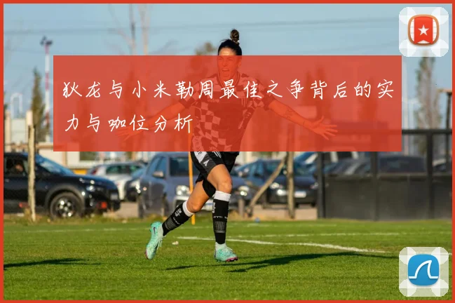狄龙与小米勒周最佳之争背后的实力与咖位分析